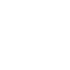 Shield icon with keyhole and dots.